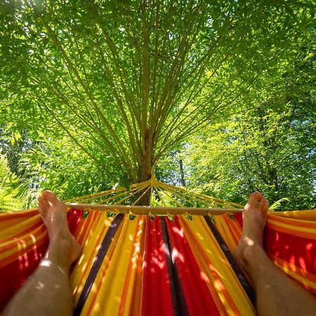 Nature Guest House Võsu Εξωτερικό φωτογραφία