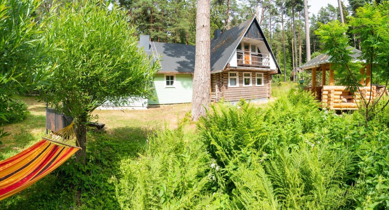 Nature Guest House Võsu Εξωτερικό φωτογραφία