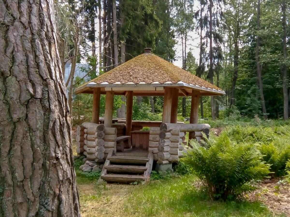 Nature Guest House Võsu Εξωτερικό φωτογραφία